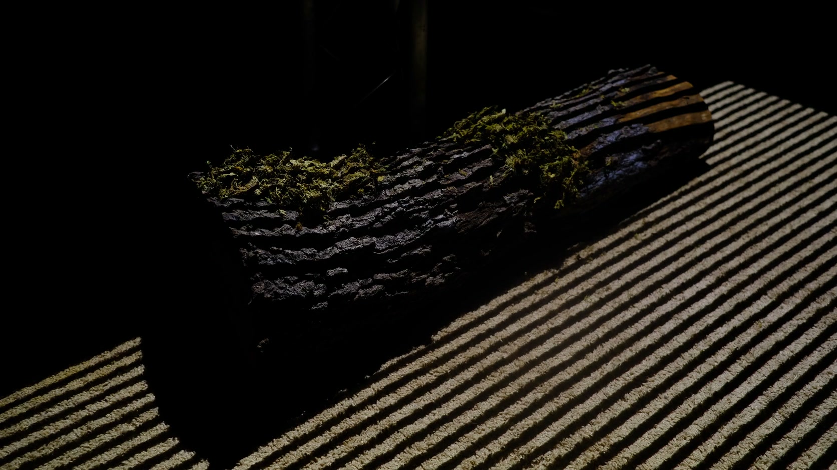 Moss-covered log illuminated by a LightStruct structured-light scan